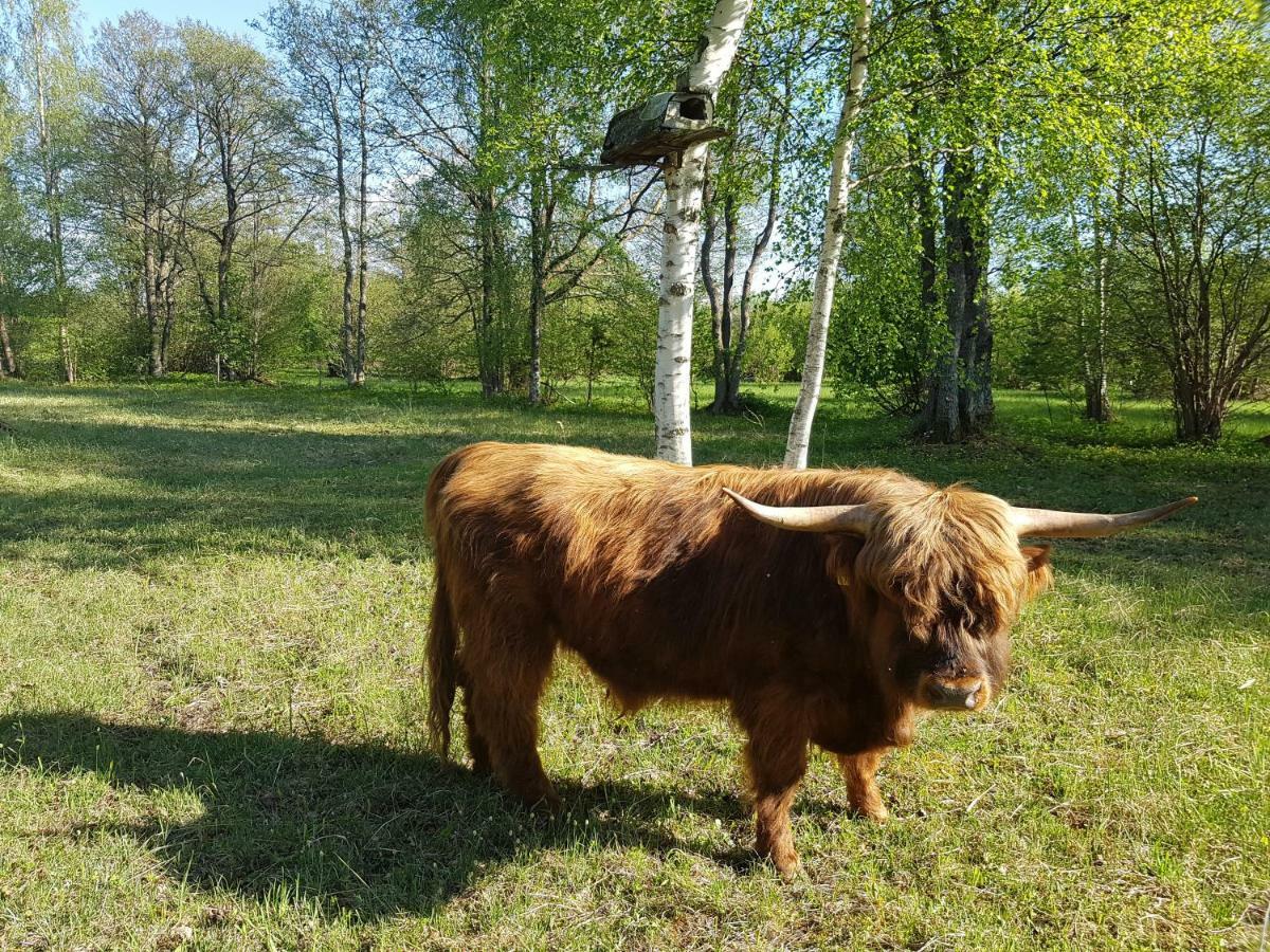 Risti Kodumajutus Lägenhet Lemsi Exteriör bild